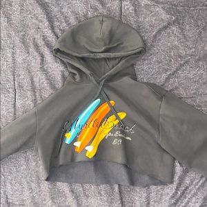 Grey Crop top Hoodie